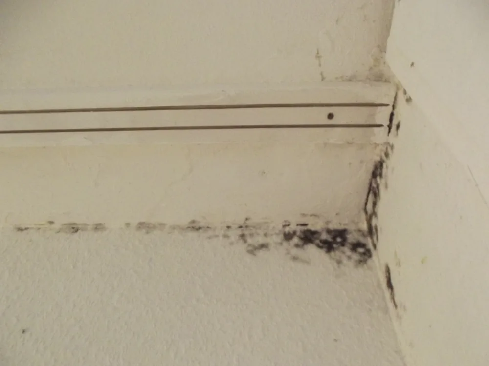 Technician in protective gear removing a mold-damaged wall in a Sag Harbor home